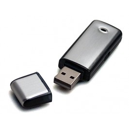 Voice Recorder Hidden in USB Flash Drive 2GB