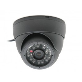 Vandal Proof Sony Dome Camera Indoor or Outdoor