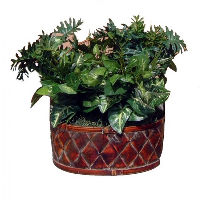 Plant Hidden Security Camera