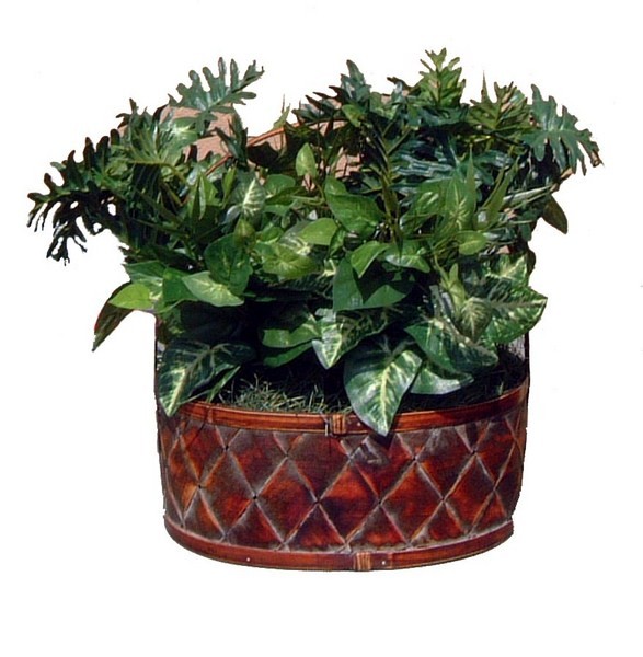 Flower pot spy camera sale