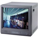 21 inch Color Monitor with Audio